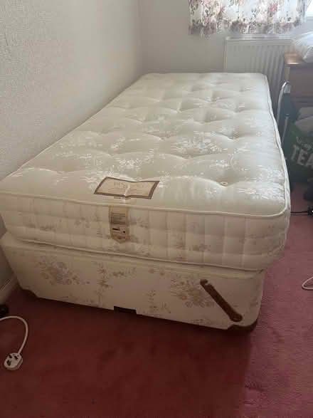 Photo of free 2 matching single beds (Hangleton BN3) #1
