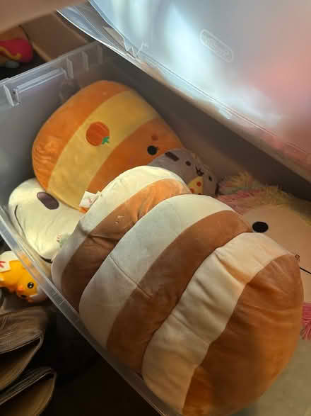 Photo of free Plushies, squishmillows (East end) #3