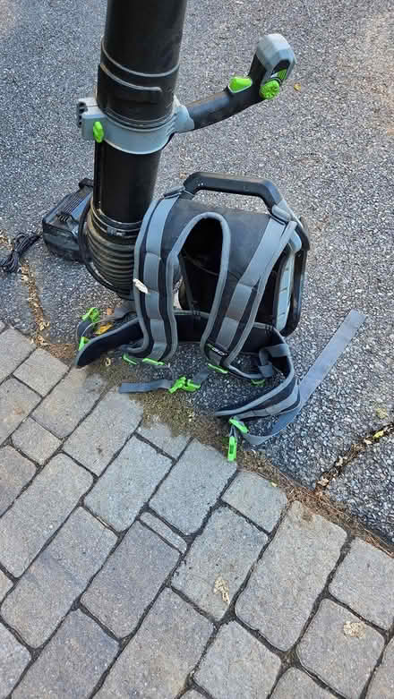 Photo of free EGO backpack leaf blower (Dunstable) #2