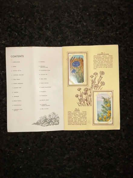 Photo of free Ty.Phoo Tea Wild Flowers Collector’s Cards. (Locks Heath SO31) #2