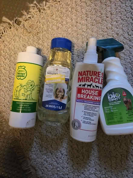 Photo of free Miscellaneous Dog Items (Billerica Center) #1