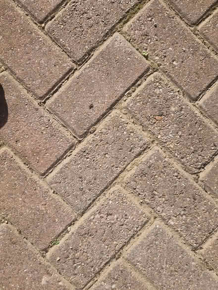 Photo of free Brick pavers (east leake LE12) #4