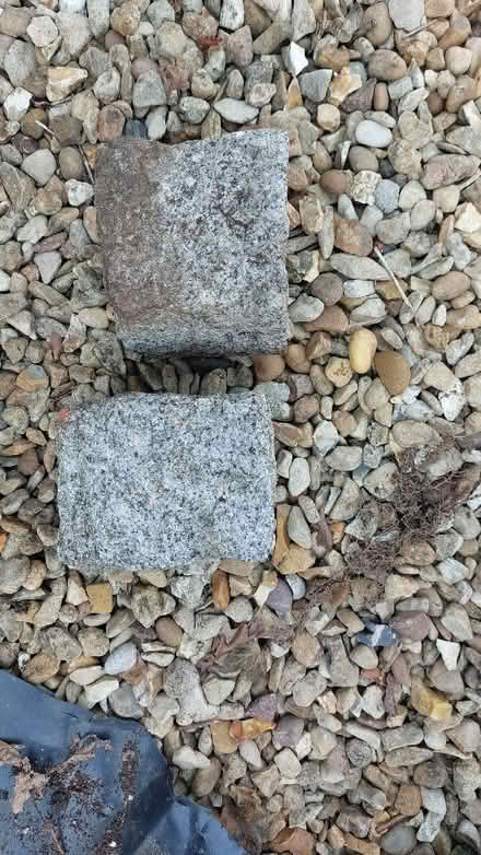 Photo of free Granite Setts (Flitton MK45) #1