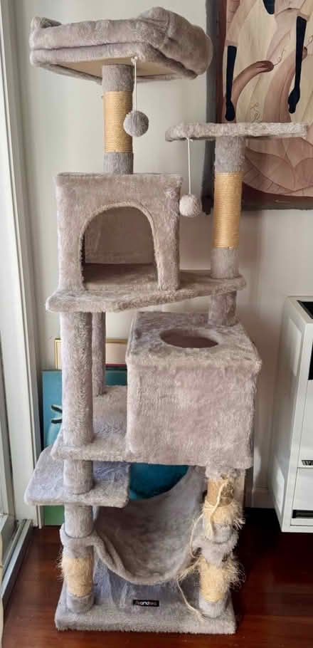Photo of free Cat Palace 👑 (Sonoma/Marin) #1