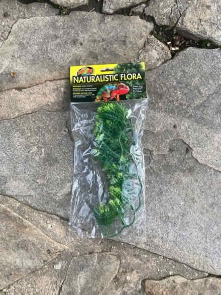 Photo of free New fake plant for terrarium (Laurel, MD) #1