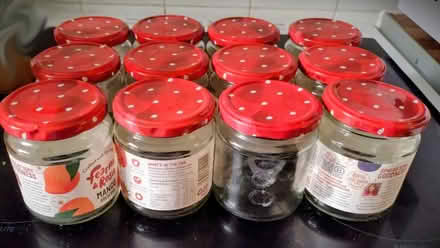 Photo of free 12 Small jam jars (Union Park TR11) #1