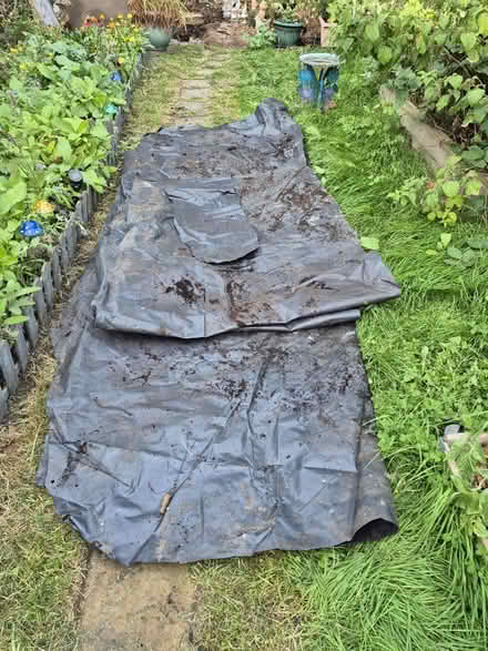 Photo of free Black plastic sheets (LE18 South wigston Leicester) #1