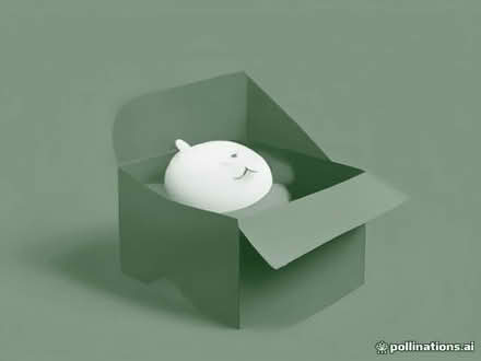 Photo of packaging either plastic or cardboard boxes (Woodhouse LS2) #1
