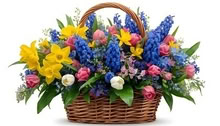 Photo of Flowers for 80th Birthday (Innisfail southwest of town) #1