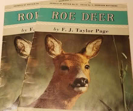 Photo of free Booklets about Roe Deer (Near Bridge of Don) #1