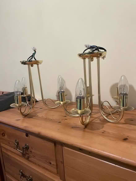 Photo of free Ceiling Lights (Downswood ME15) #1