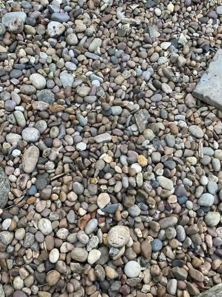 Photo of free Scottish Pebbles (Harrogate HG2) #1