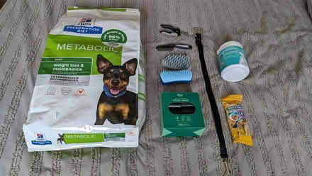 Photo of free Small Dog Bundle (West Minster ME12) #1