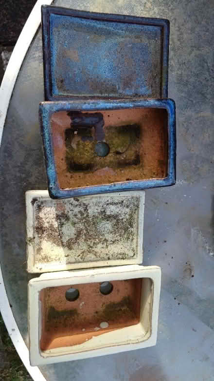 Photo of free 2 little pots for bonsi tree etc (Malvern Link WR14) #1