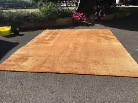 Photo of free Carpet (Merriott, Somerset) #1