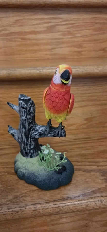 Photo of free Interactive parrot desk figure (Richmond Hill) #1