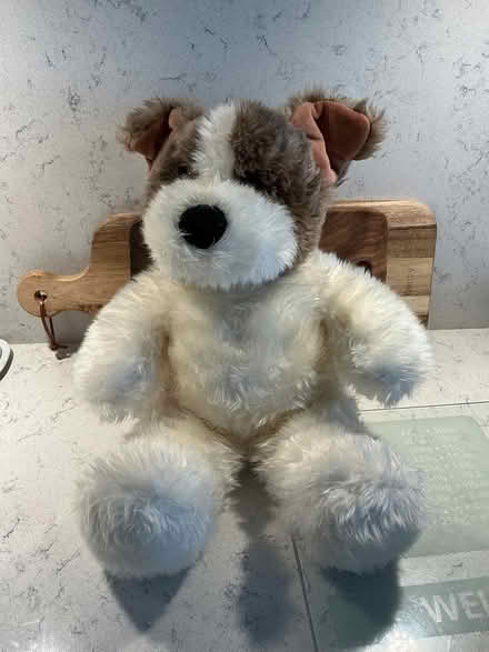 Photo of free Dog teddy. So soft (North Watford WD24) #1