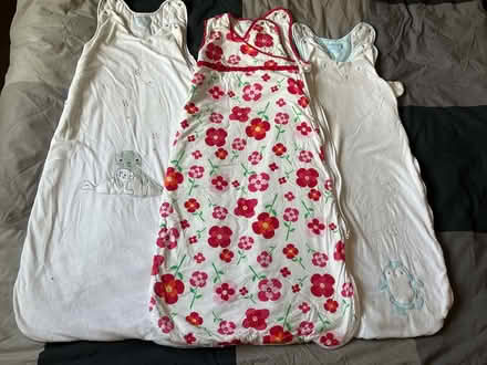 Photo of free Toddler sleeping bags (Whitecross OX13) #1