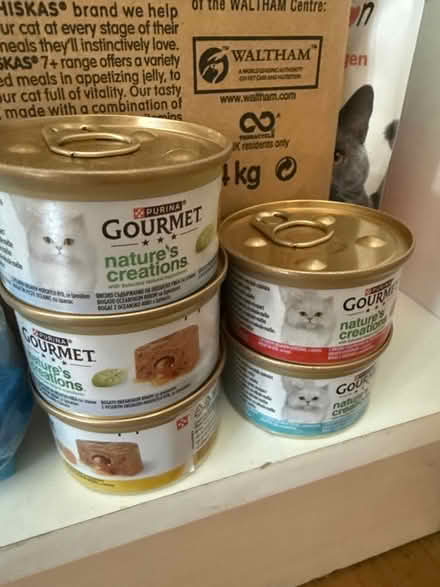 Photo of free Various cat food wet and dry (Brixton SW9) #3