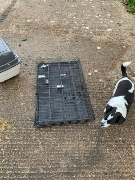 Photo of free Dog crate & carry case (Maesbrook SY10) #2