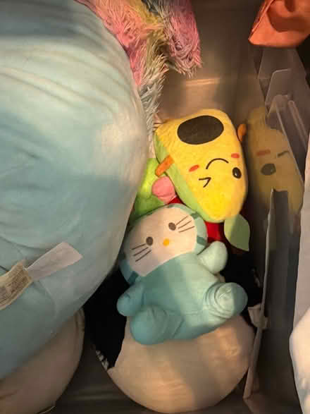 Photo of free Plushies, squishmillows (East end) #1