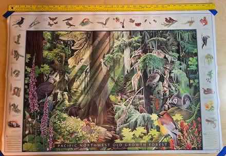 Photo of free Northwest Ecology Posters (Bothell - Canyon Park) #1