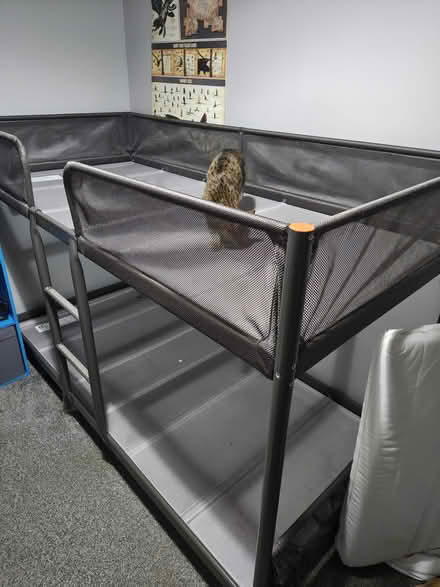 Photo of free Ikea Tuffing Bunk Bed (Summerseat BL9) #2
