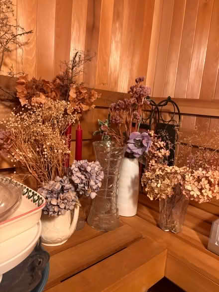 Photo of free Downsizing: lots of items (Newton, MA) #4