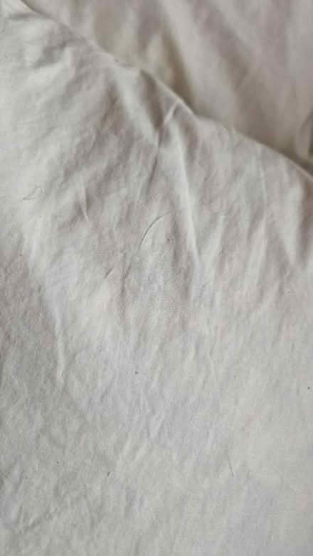 Photo of free 3 cushions (Bridge of Allan FK9) #2