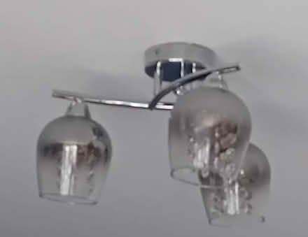 Photo of free Ceiling lamps - Pair (Worcester WR5) #2