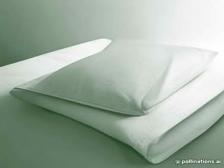 Photo of free Superking goose down duvet (Caversham Heights RG4) #1