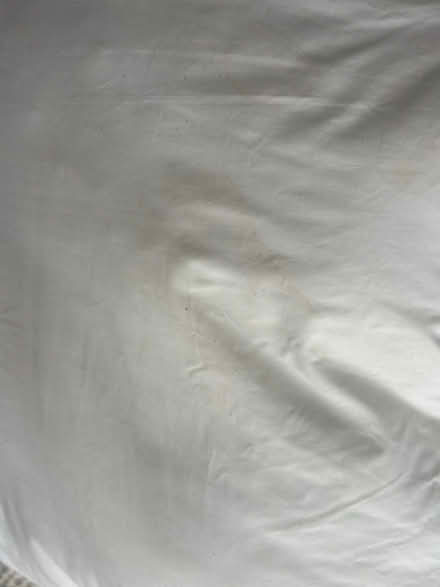 Photo of free Large Dorma continental pillow (Levenshulme M19) #3