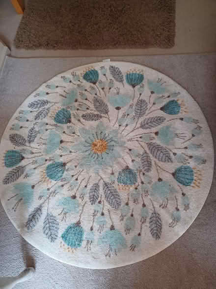 Photo of free Circular RUG (Hollingbury BN1) #1