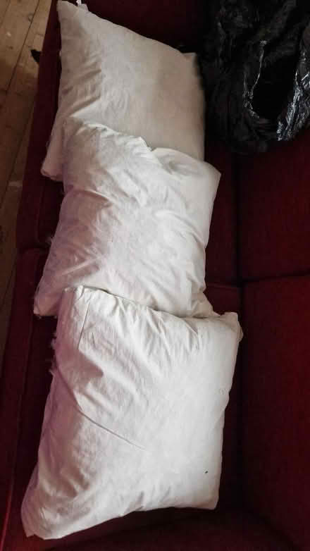 Photo of free 3 cushions (Bridge of Allan FK9) #1