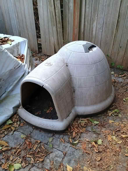 Photo of free Dogloo Backyard Pet housing (N. Seattle / Shoreline Border) #1