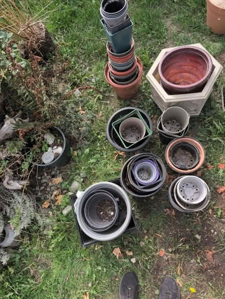 Photo of free Garden Pots (Morden SM4) #2