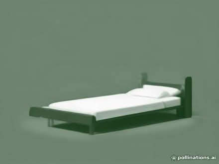 Photo of any cabin beds (not metal ) (Lower Buckland SO41) #1
