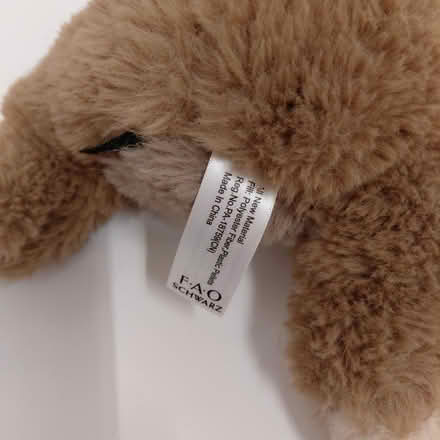 Photo of free Sloth plush (Union City) #3