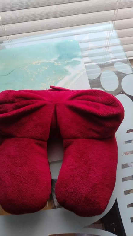 Photo of free Neck rest (Chorley centre PR7) #2