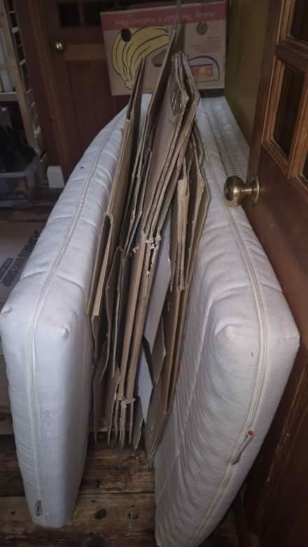 Photo of free Cardboard boxes (Out Westgate, BSE) #2