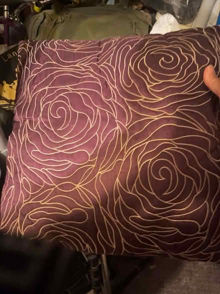 Photo of free Down feather throw cushion (Orleans) #1