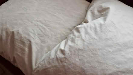 Photo of free 3 cushions (Bridge of Allan FK9) #4