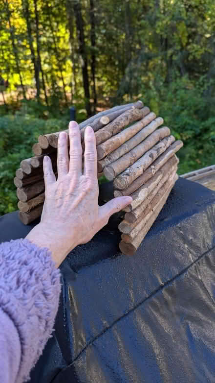 Photo of free Log tunnel for pets (Kanata) #4