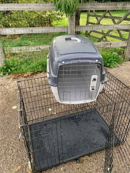 Photo of free Dog crate & carry case (Maesbrook SY10) #3