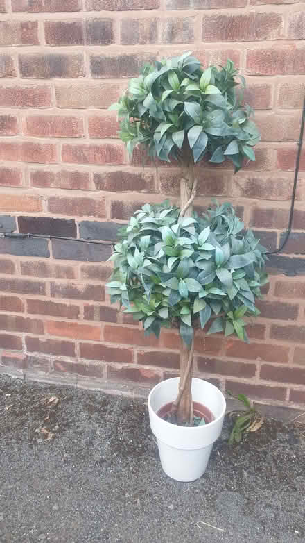 Photo of free artificial plant, approx. 1.5m tall (Manor Park S2) #1