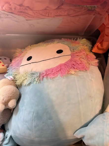 Photo of free Plushies, squishmillows (East end) #2