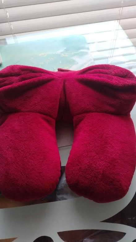 Photo of free Neck rest (Chorley centre PR7) #1