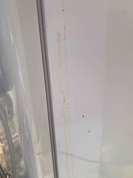 Photo of free Fridge freezer (Maesbrook SY10) #4