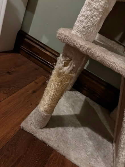 Photo of free Tall cat tree (Stockport SK2) #2