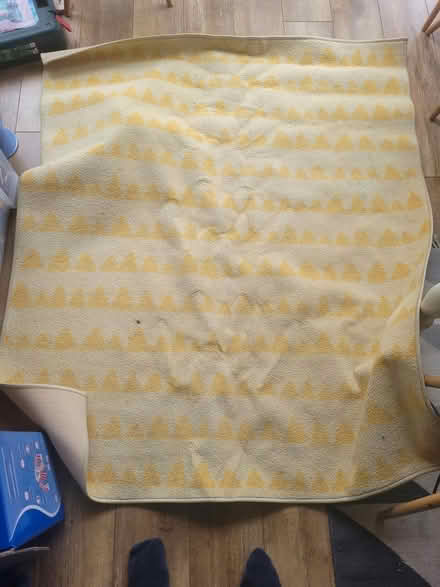 Photo of free (Stained) Ikea rug (BR2) #1